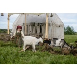 Козлята_1.jpg Козлята_1.jpg