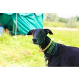 Локи_1.jpg Локи_1.jpg