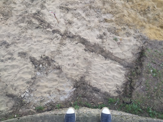 IMG_20210707_200307.jpg IMG_20210707_200307.jpg