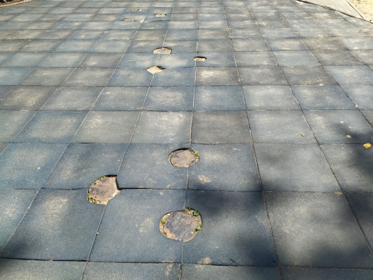 IMG_20210721_125507.jpg IMG_20210721_125507.jpg