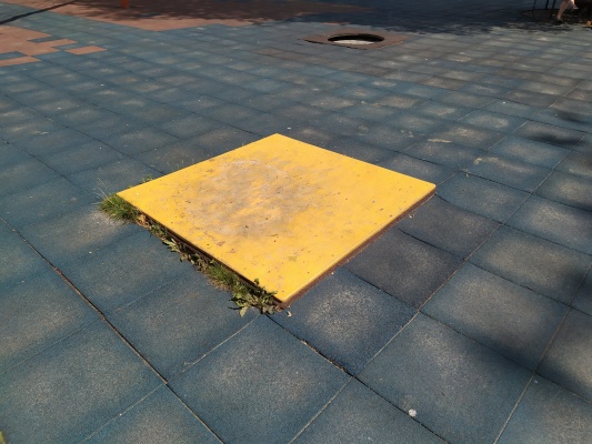 IMG_20210721_125516.jpg IMG_20210721_125516.jpg