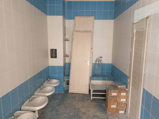 IMG20210810124327.jpg IMG20210810124327.jpg