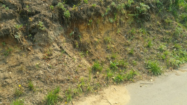 20210805_115822.jpg 20210805_115822.jpg