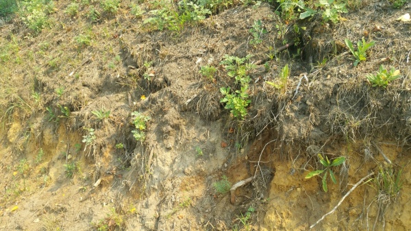 20210805_115843.jpg 20210805_115843.jpg