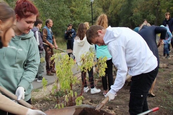 Кусты-4.jpg Кусты-4.jpg