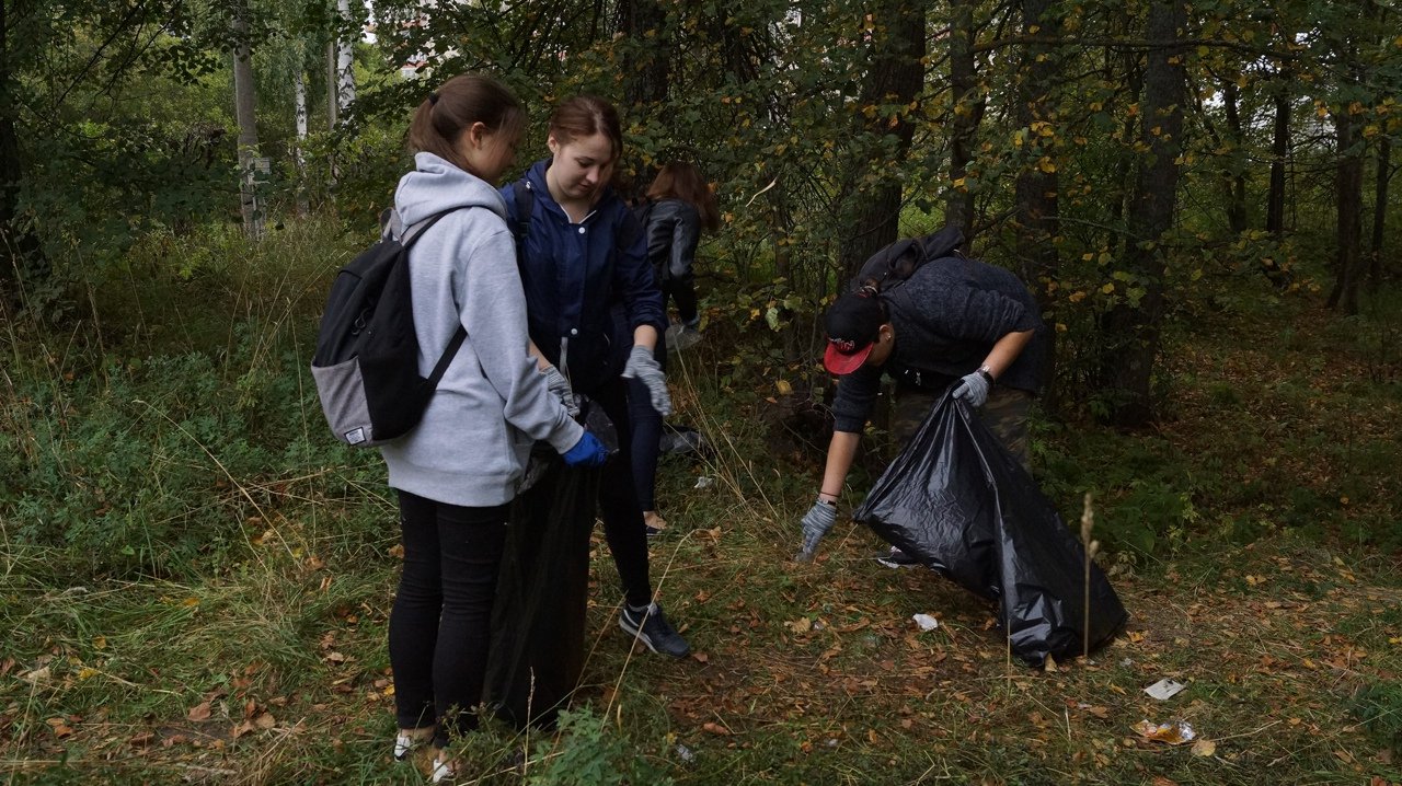 Уборка-1.jpg Уборка-1.jpg