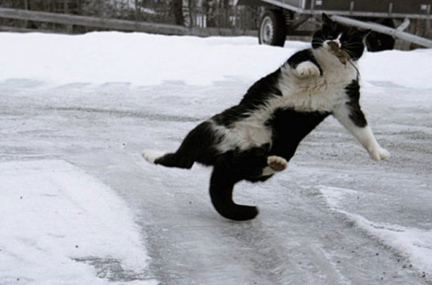 Гололед.jpg Гололед.jpg