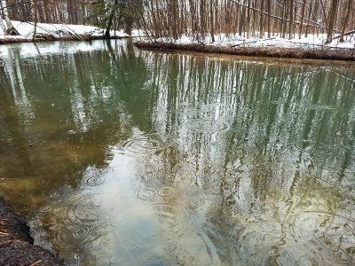 Весна-06.jpg Весна-06.jpg