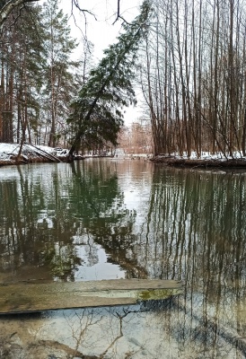 Весна-07.jpg Весна-07.jpg