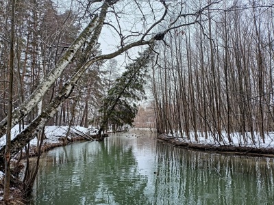 Задворки-02.jpg Задворки-02.jpg