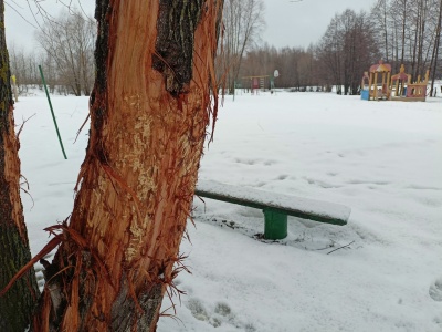 Задворки-07.jpg Задворки-07.jpg