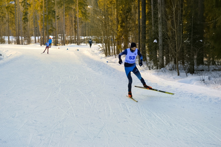 Лыжи-1.jpg Лыжи-1.jpg