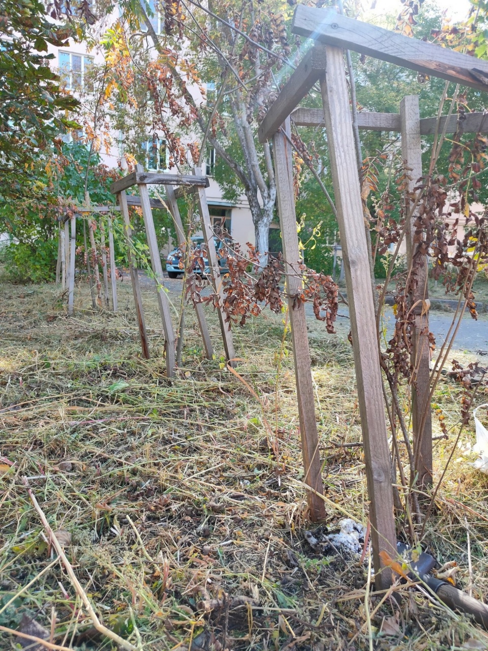 Соль-1.jpg Соль-1.jpg