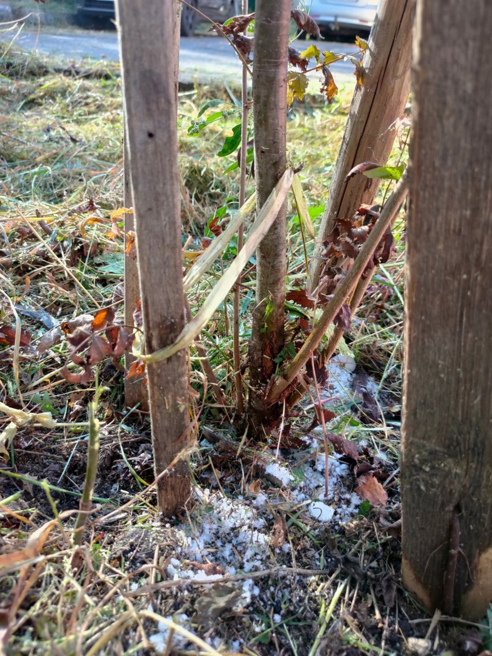 Соль-4.jpg Соль-4.jpg