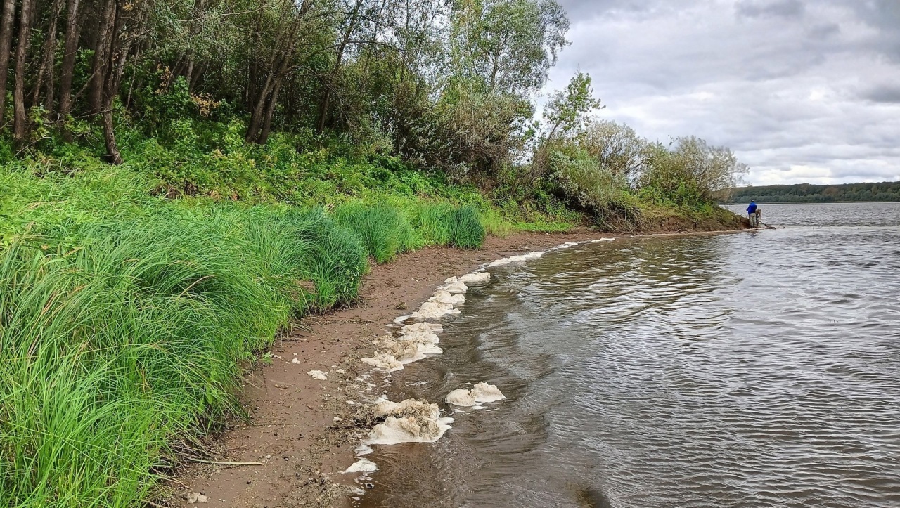 Кости-2.jpg Кости-2.jpg