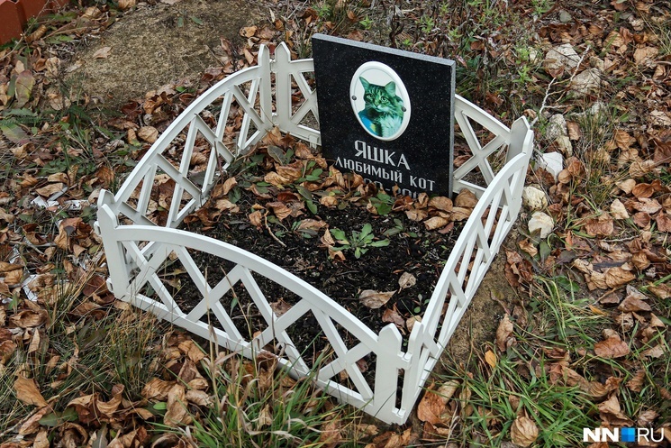 Кладбище-1.jpg Кладбище-1.jpg