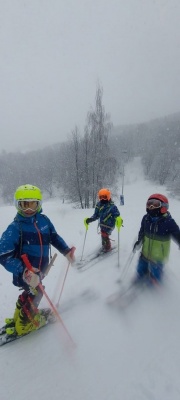 Лыжи-5.jpg Лыжи-5.jpg