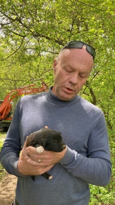 Щенки-1.jpg Щенки-1.jpg