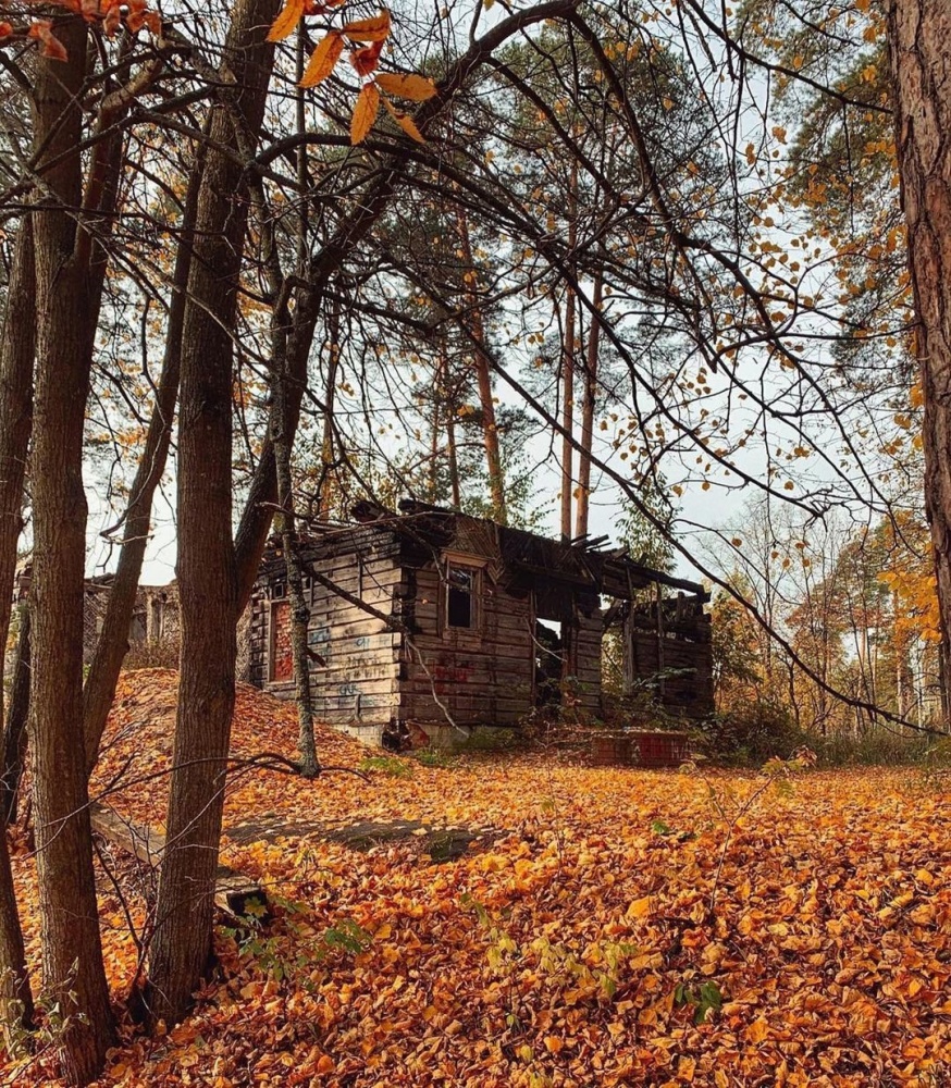 Дом-1.jpg Дом-1.jpg