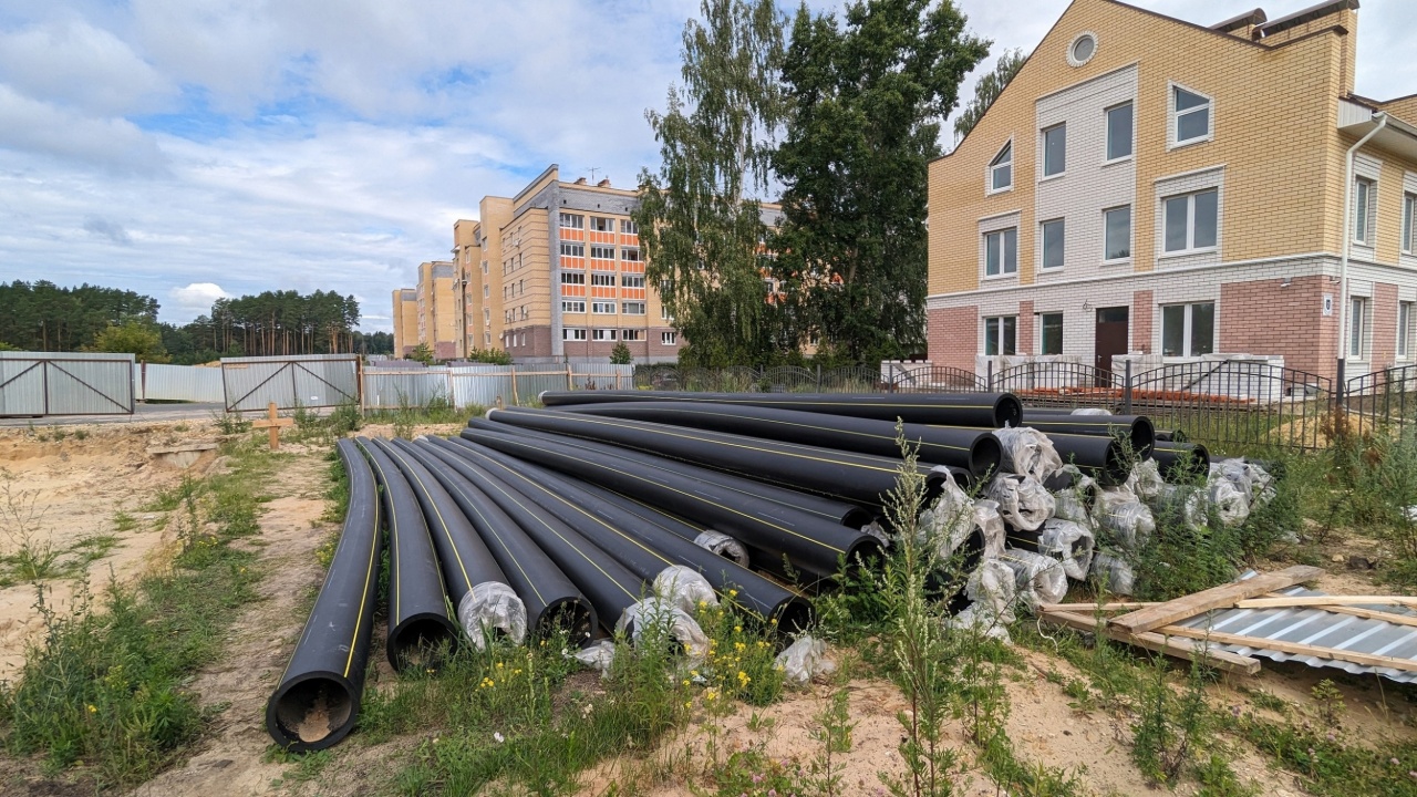 Негина-1.jpg Негина-1.jpg