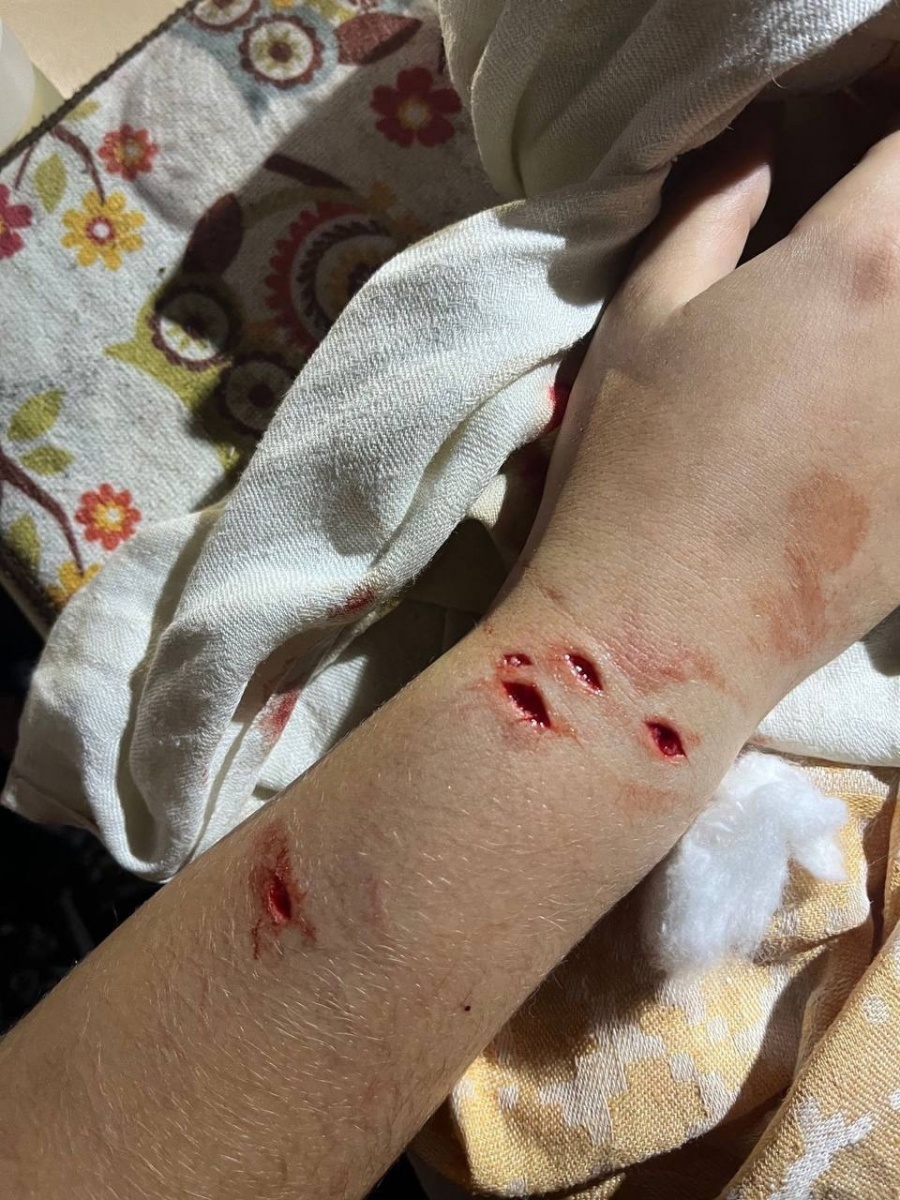 Ротвейлер.jpg Ротвейлер.jpg