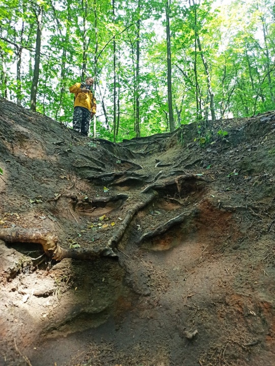 Парк-02.jpg Парк-02.jpg