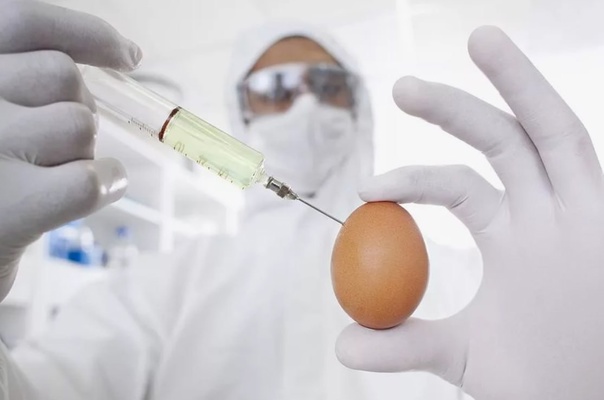 xRH7gFgh42s.jpg xRH7gFgh42s.jpg