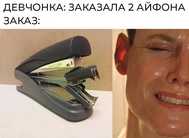 Степлер.jpg Степлер.jpg