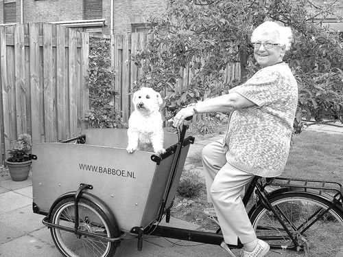 Велосипед - один из основных видов транспорта