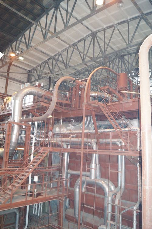 Вот он - виновник торжества