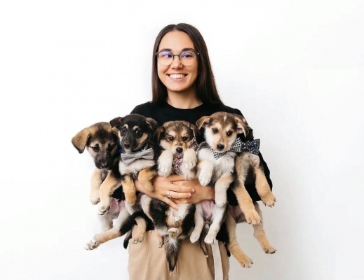 yYAxUMS0Ba.jpg yYAxUMS0Ba.jpg