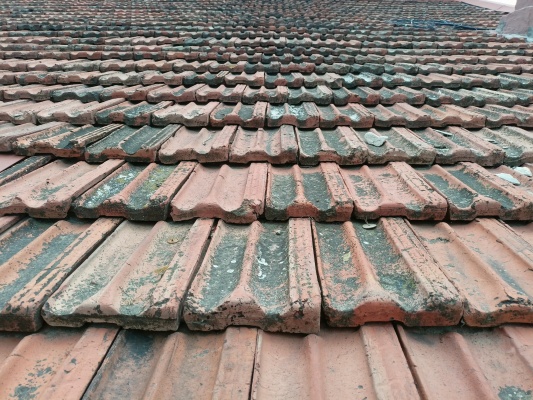 IMG20210820132133.jpg IMG20210820132133.jpg