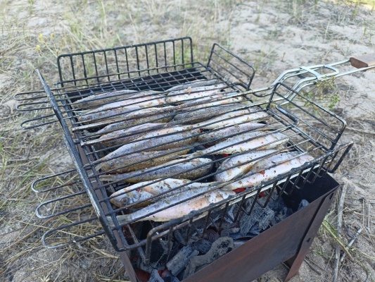 IMG20210821174843.jpg IMG20210821174843.jpg