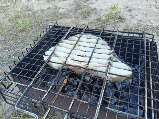 IMG20210821175803.jpg IMG20210821175803.jpg