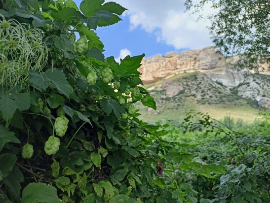 IMG20210823120444.jpg IMG20210823120444.jpg