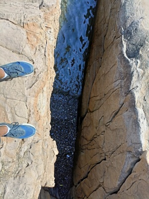 IMG20210828122330.jpg IMG20210828122330.jpg