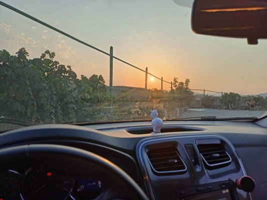 IMG20210829184957.jpg IMG20210829184957.jpg