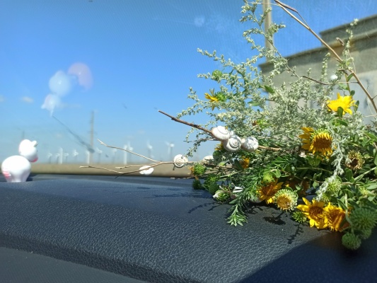 IMG_20210818_105817.jpg IMG_20210818_105817.jpg