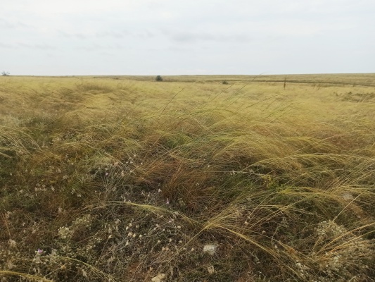 IMG_20210819_170635.jpg IMG_20210819_170635.jpg