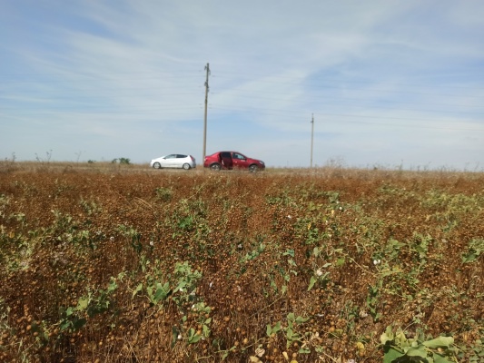 IMG_20210822_153542.jpg IMG_20210822_153542.jpg