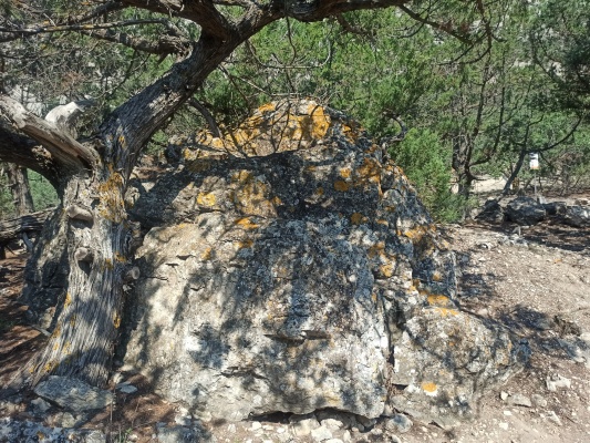 IMG_20210826_103116.jpg IMG_20210826_103116.jpg