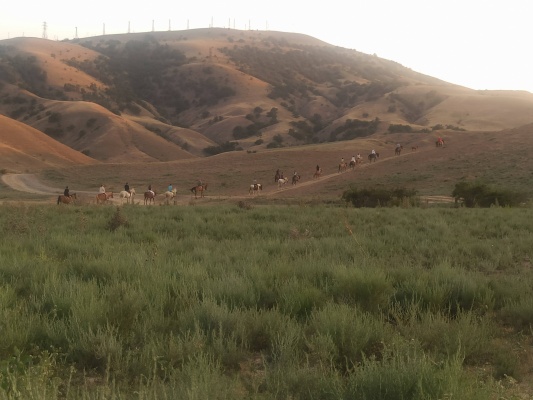 IMG_20210826_185533.jpg IMG_20210826_185533.jpg