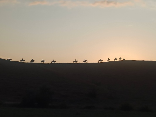 IMG_20210826_185828.jpg IMG_20210826_185828.jpg