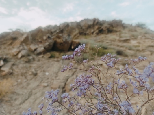 IMG_20210826_191828.jpg IMG_20210826_191828.jpg