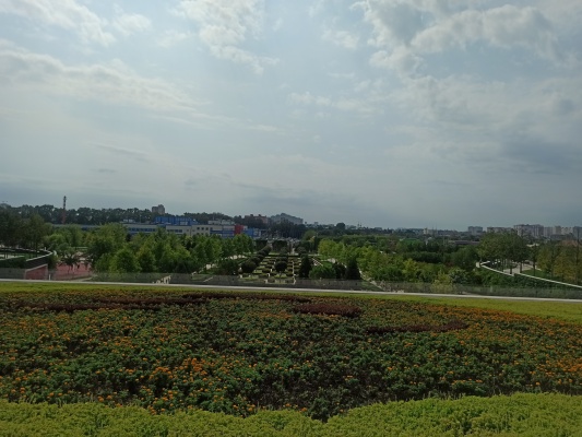 IMG_20210901_111202.jpg IMG_20210901_111202.jpg