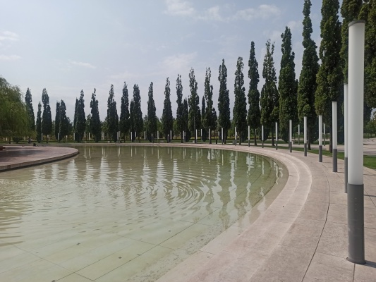 IMG_20210901_113833.jpg IMG_20210901_113833.jpg