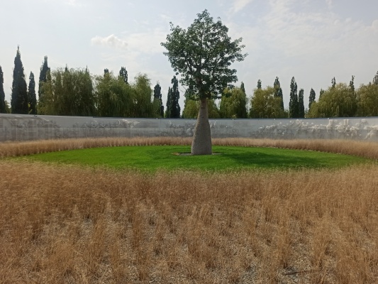 IMG_20210901_114237.jpg IMG_20210901_114237.jpg