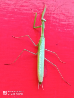 0FgosQk0YaA.jpg 0FgosQk0YaA.jpg