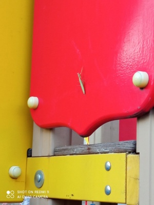 L0xJn_cffw8.jpg L0xJn_cffw8.jpg