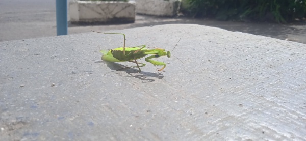 WG_iQPVC018.jpg WG_iQPVC018.jpg